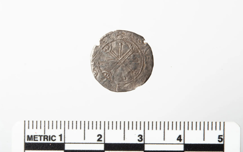 Metal Dedektörüyle Bulduğu "Düğme", 900 Yıllık Viking Sikkesi Çıktı